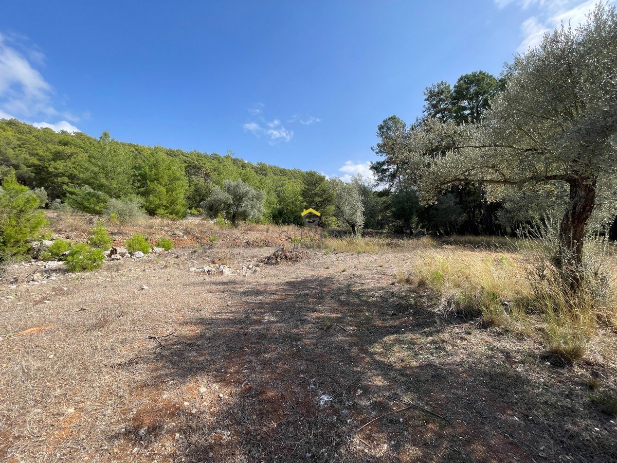 GÜVEN HOMES'TAN ÖLÜDENİZ HİSARÖNÜ SATILIK 1435m² TARLA