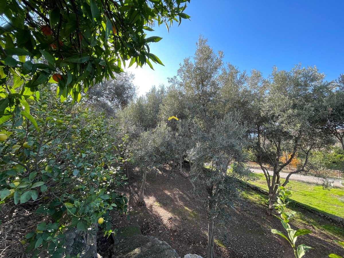 GÜVEN HOMES'TAN FARALYA'DA SATILIK 610 m² DENİZ MANZARALI EV BAHÇE