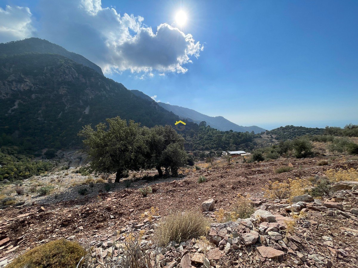 GÜVEN HOMES TAN FARALYA KİRMEDE DENİZ MANZARALI 1910m² TARLA