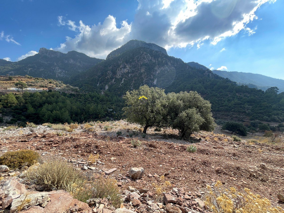 GÜVEN HOMES TAN FARALYA KİRMEDE DENİZ MANZARALI 1910m² TARLA