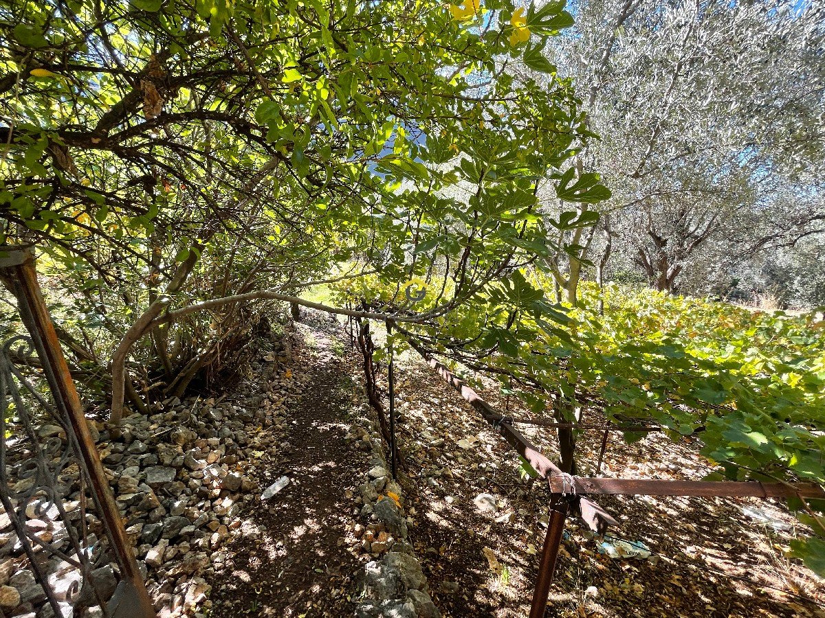 FARALYA KİRME MAHALLESİNDE İMARLI SATILIK 655 m² BAHÇE