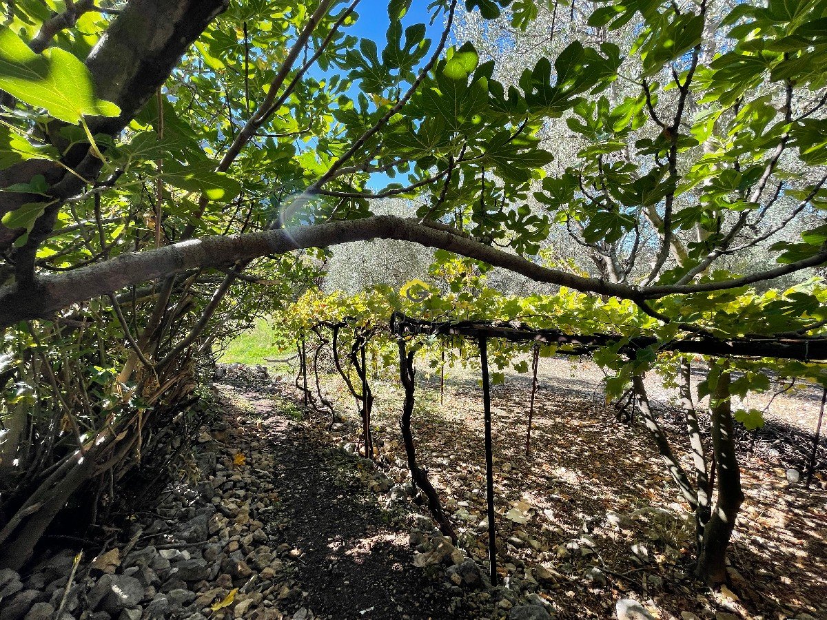 FARALYA KİRME MAHALLESİNDE İMARLI SATILIK 655 m² BAHÇE