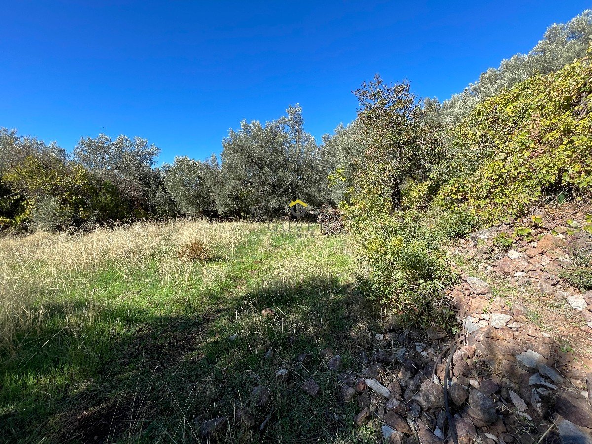 FARALYA KİRME MAHALLESİNDE İMARLI SATILIK 655 m² BAHÇE