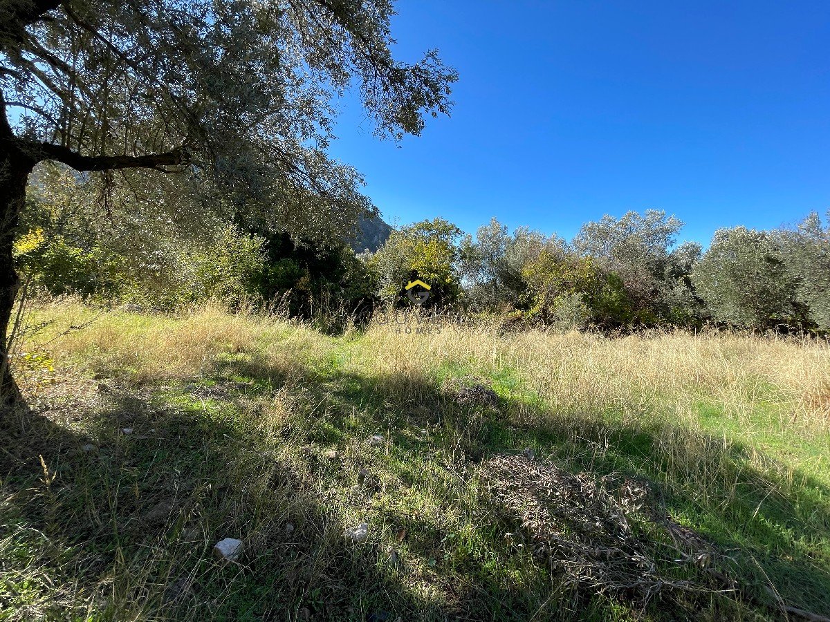 FARALYA KİRME MAHALLESİNDE İMARLI SATILIK 655 m² BAHÇE