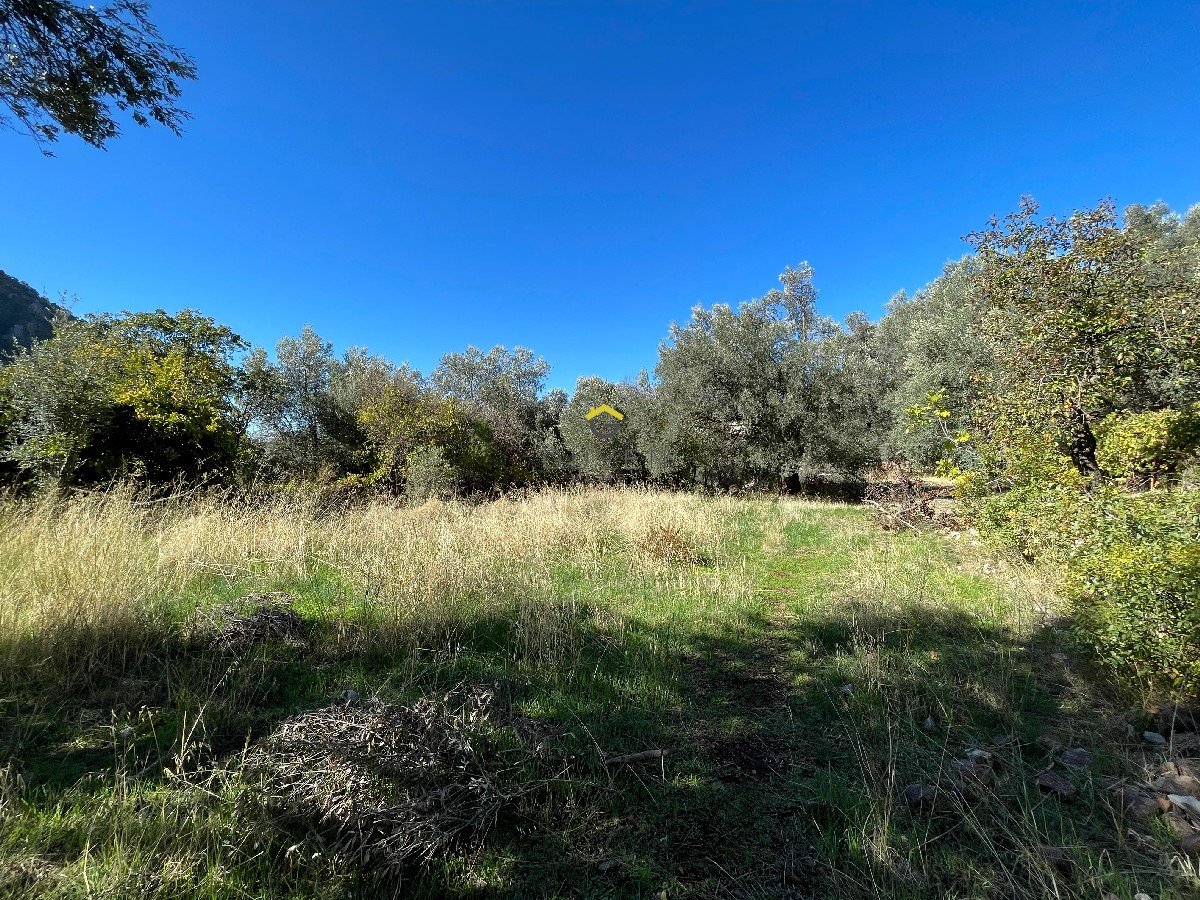 FARALYA KİRME MAHALLESİNDE İMARLI SATILIK 655 m² BAHÇE