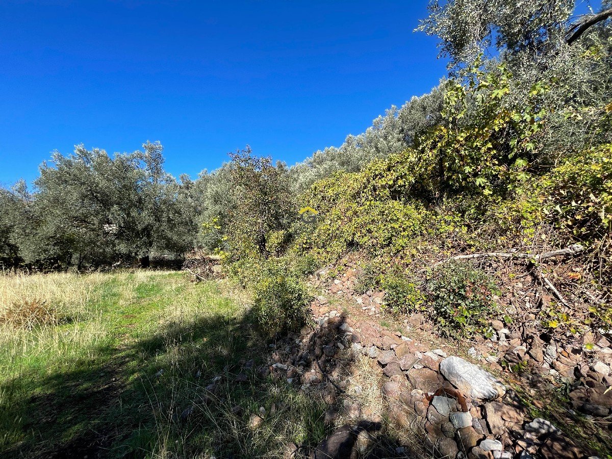 FARALYA KİRME MAHALLESİNDE İMARLI SATILIK 655 m² BAHÇE