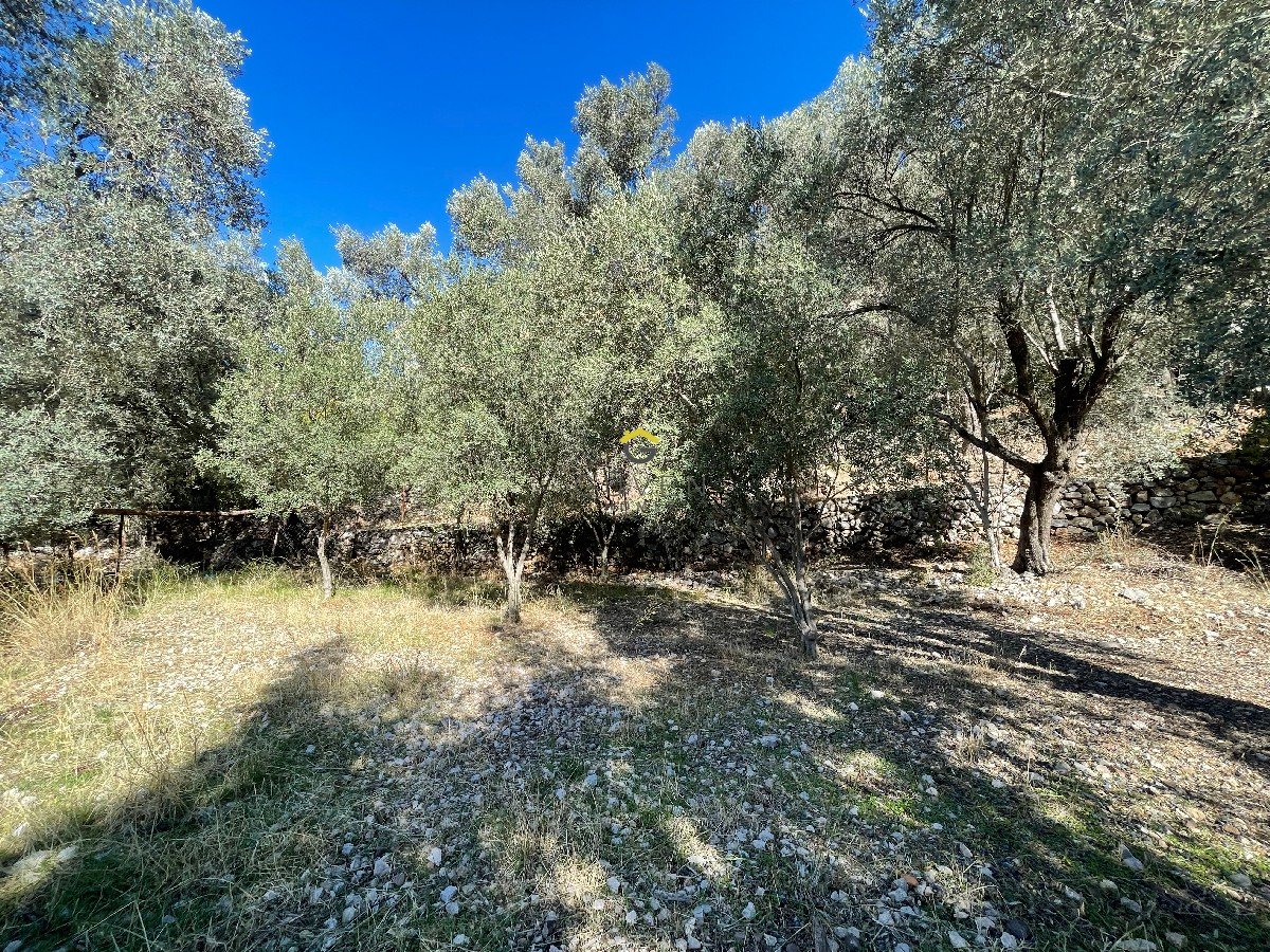 FARALYA KİRME MAHALLESİNDE İMARLI SATILIK 655 m² BAHÇE