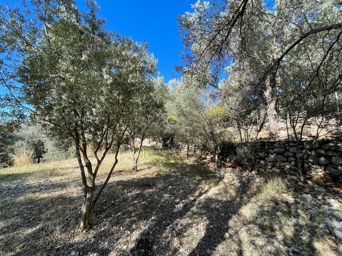 FARALYA KİRME MAHALLESİNDE İMARLI SATILIK 655 m² BAHÇE