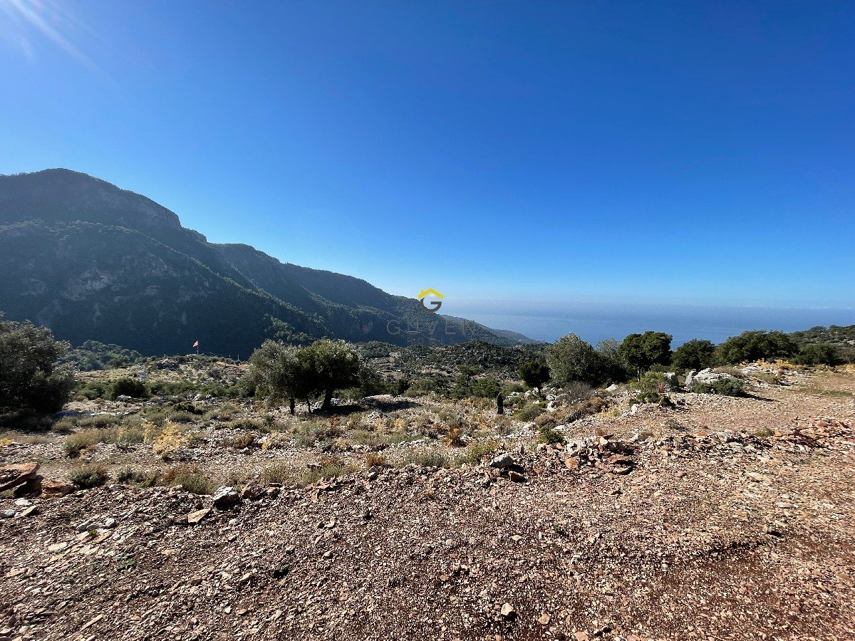 FARALYA KİRME MAHALLESİNDE DENİZ MANZARALI SATILIK 1575  m² TARLA