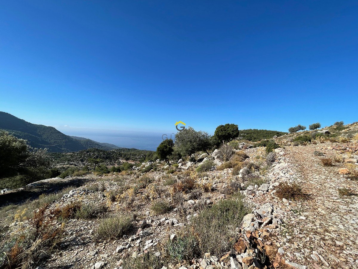 FARALYA KİRME MAHALLESİNDE DENİZ MANZARALI SATILIK 1575  m² TARLA