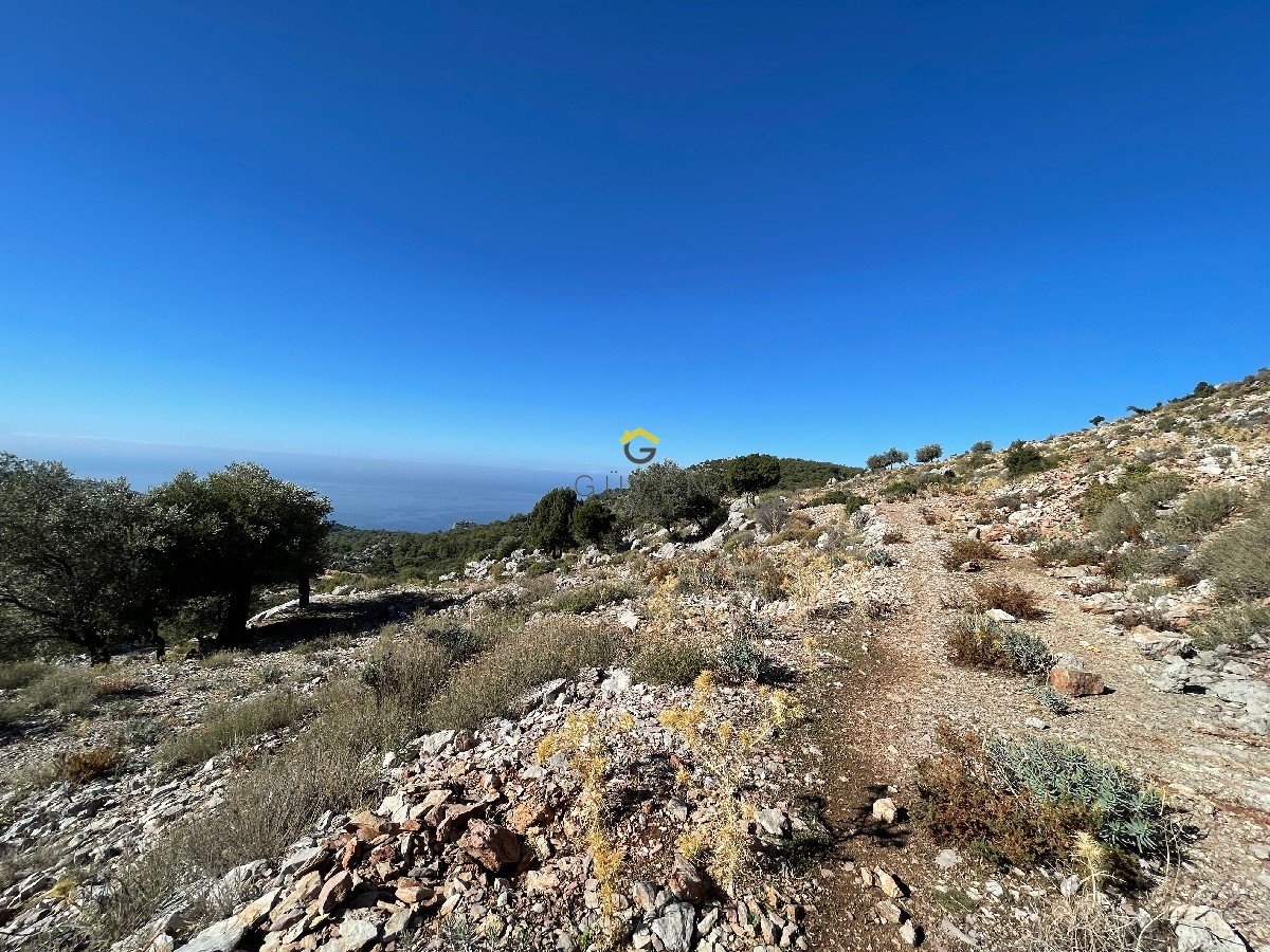 FARALYA KİRME MAHALLESİNDE DENİZ MANZARALI SATILIK 1575  m² TARLA