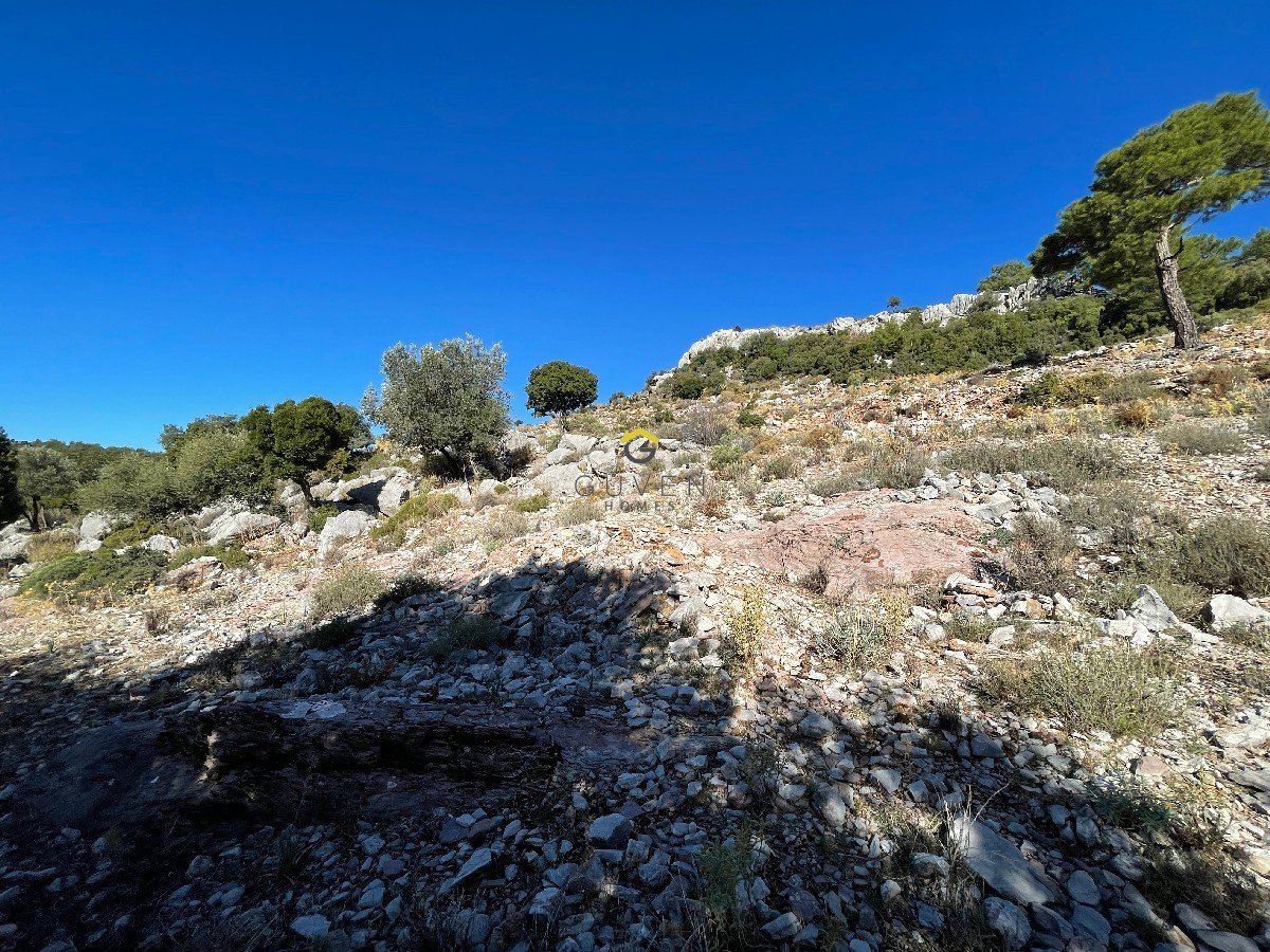 FARALYA KİRME MAHALLESİNDE DENİZ MANZARALI SATILIK 1575  m² TARLA