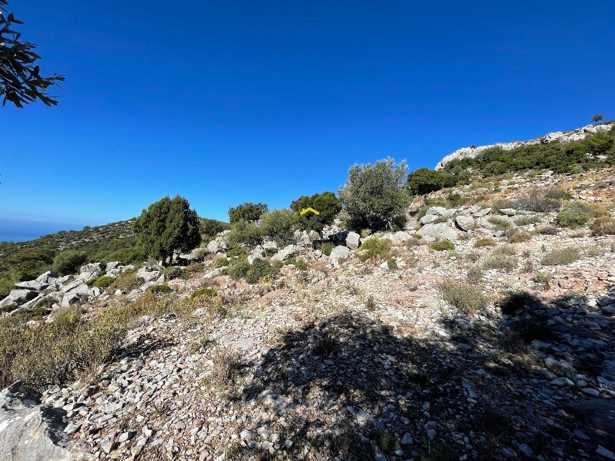 FARALYA KİRME MAHALLESİNDE DENİZ MANZARALI SATILIK 1575  m² TARLA