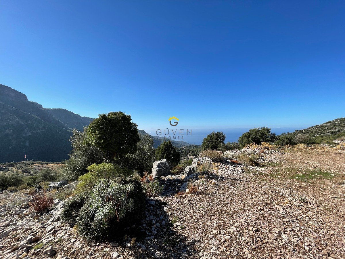 FARALYA KİRME MAHALLESİNDE DENİZ MANZARALI SATILIK 1575  m² TARLA