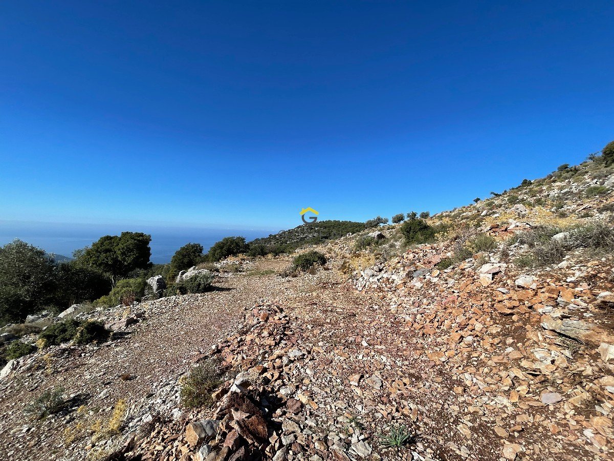 FARALYA KİRME MAHALLESİNDE DENİZ MANZARALI SATILIK 1575  m² TARLA